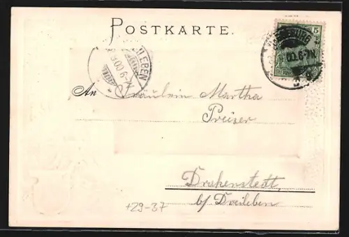 Passepartout-Lithographie Magdeburg, Panorama mit Dom, Lange Brücke, Wappen