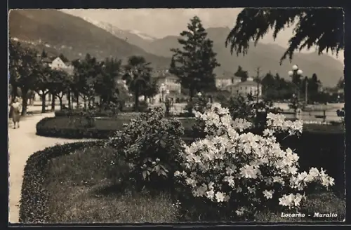 AK Locarno-Muralto, Blühende Sträucher im Park