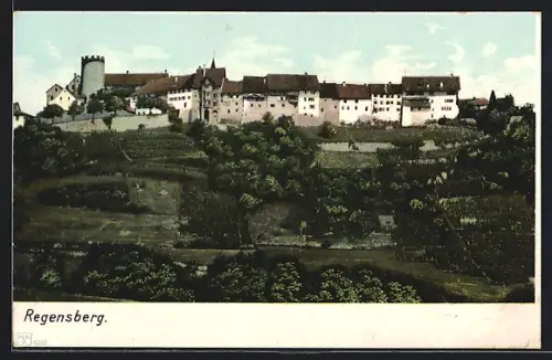 AK Regensberg, Panoramablick mit Schloss