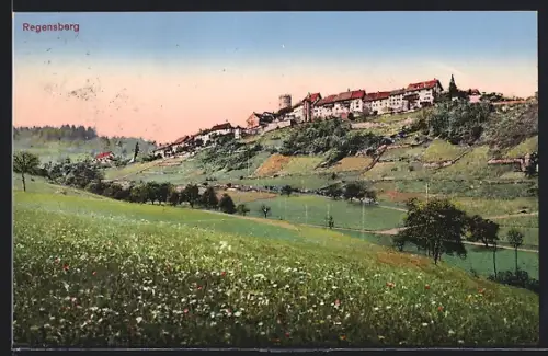 AK Regensberg, Teilansicht von blühender Wiese aus