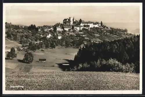 AK Regensberg, Blick von der Bergwiese auf den Ort