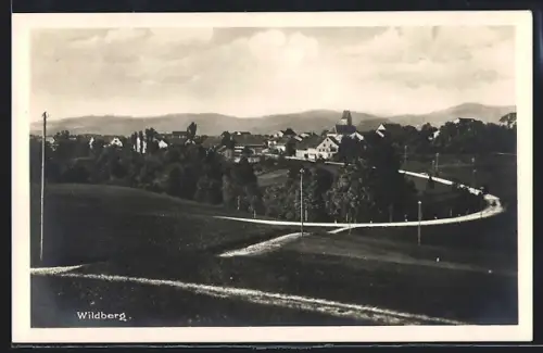 AK Wildberg, Ortsansicht mit Zufahrtsstrasse