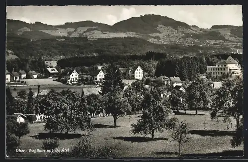 AK Wetzikon, Ober-Wetzikon, Obstbäume mit Blick auf die Berge