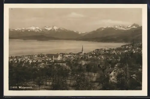 Foto-AK Wädenswil, Gesamtansicht des Ortes