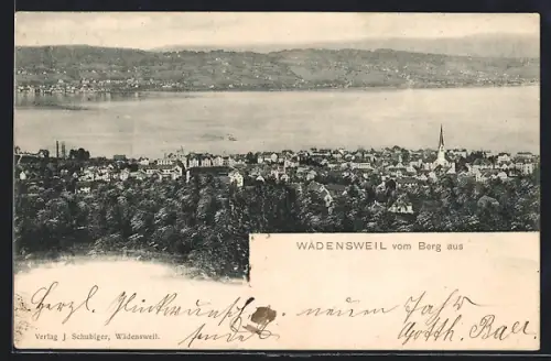 AK Wädensweil, Gesamtansicht vom Berg aus mit See