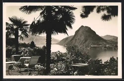 AK Monte S. Salvatore /Lago di Lugano, Panorama
