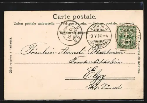 AK Zürich, Partie am Utoquai mit Kirchen