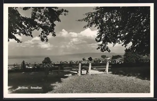 AK Heiden, Blick von der Seeallee auf den See