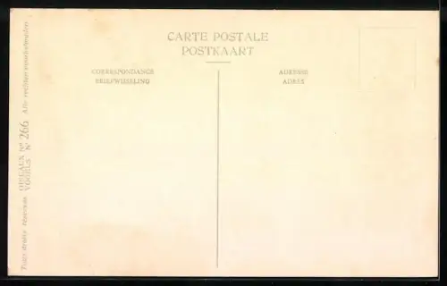 Künstler-AK Hubert Dupond: Musée Royal d'Histoire Naturelle de Belgique, Vogel-Serie: Steppenhoen