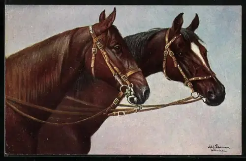 Künstler-AK Alfred Schönian: Pferde mit Zaumzeug
