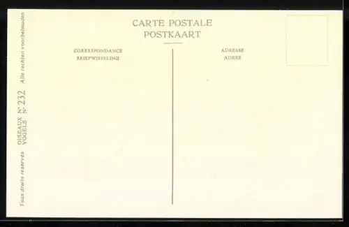 Künstler-AK Hubert Dupond: Sarcelle d`été, Anas querquedula, Erpel und Ente