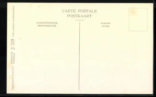 Künstler-AK Hubert Dupond: Canard colvert, Anas platyrhyncha platyrhyncha