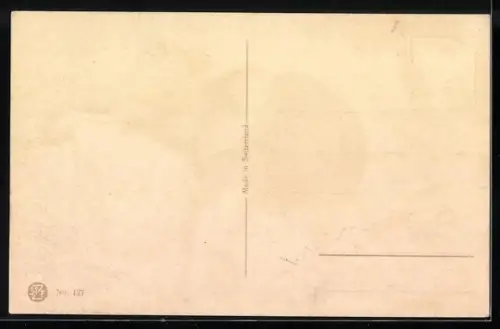 AK Elefant streift durch das Unterholz