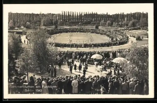 AK Berlin-Charlottenburg, Sommerblumen am Funkturm, 1943