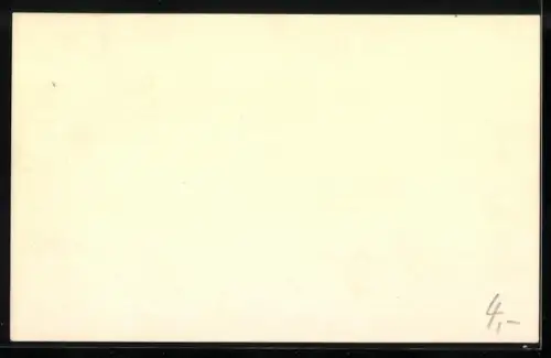 AK Berlin-Charlottenburg, Sommerblumen am Funkturm, 1943