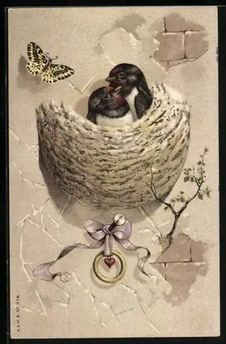 AK Schwalbenpaar im Nest und Schmetterling