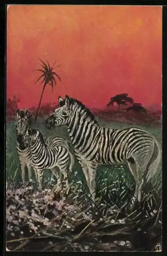 Künstler-AK Zebra-Familie im Abendlicht