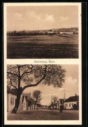 AK Steinberg-Dörfl, Steinberg, Ortsansicht mit Kirche, Strassenpartie