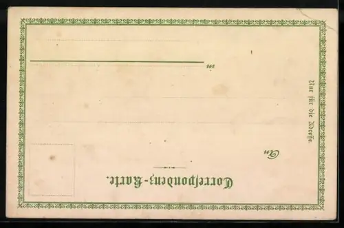 Lithographie Karlbad, Panoramaansicht