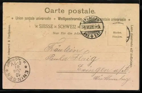 Lithographie St. Gallen, Panorama