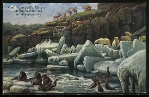 AK Hamburg-Stellingen, Carl Hagenbeck`s Tierpark, Seerobben, Eisbären, Hirsche, Pinguine