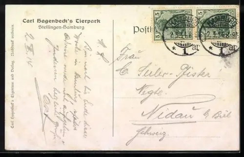 AK Hamburg-Stellingen, Carl Hagenbeck`s Tierpark, Seerobben, Eisbären, Hirsche, Pinguine