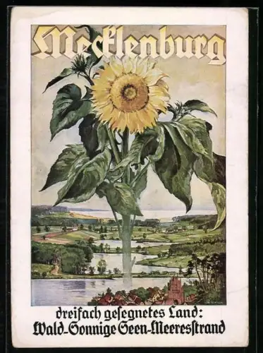 Künstler-AK Mecklenburg, dreifach gesegnetes Land
