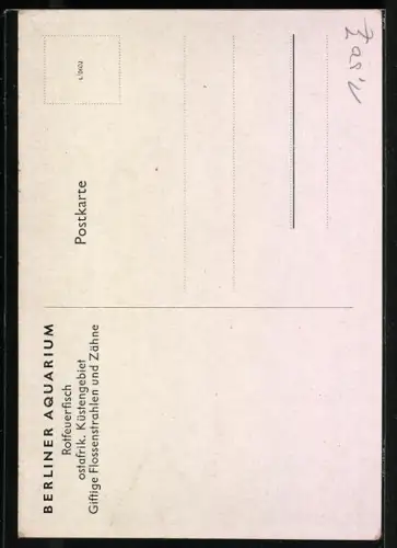 Künstler-AK Berliner Aquarium, Rotfeuerfisch