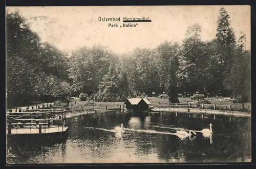 AK Heringsdorf / Seebad, Park Italien, Teich mit Boot und Schwänen