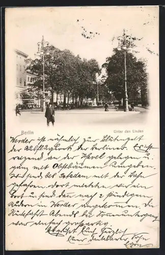 AK Berlin, Unter den Linden mit Bus