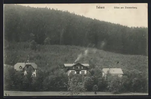 AK Tabarz, Villen am Zimmerberg