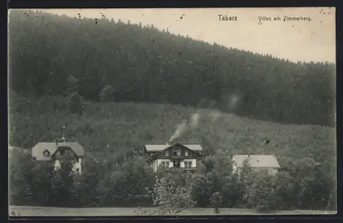 AK Tabarz, Villen am Zimmerberg