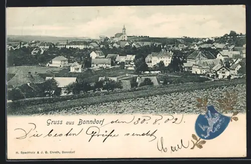 AK Bonndorf / Schwarzwald, Ortsansicht mit Kirche