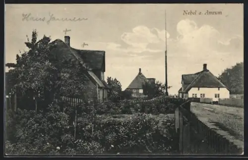 AK Nebel a. Amrum, Reetdachhäuser mit Garten