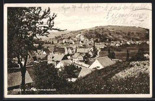AK Frammersbach, Blick von der Bergwiese