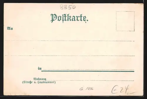 Lithographie Donauwörth, Panorama und Teilansicht vom Wasser