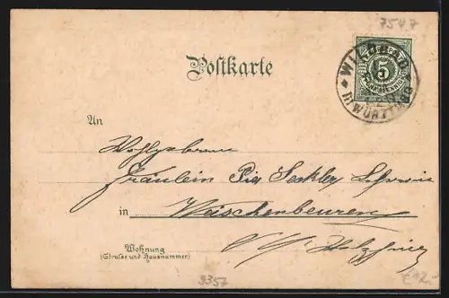 Lithographie Bad Wildbad, Kurplatz, Katholische Kirche, Anlagen-Partie