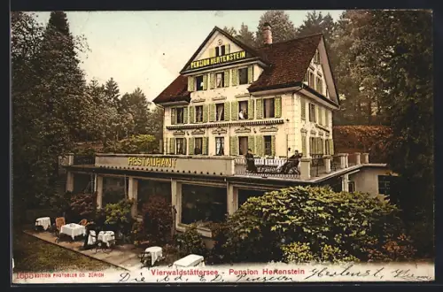 AK Hertenstein /Vierwaldstättersee, Pension Hertenstein mit Terrasse