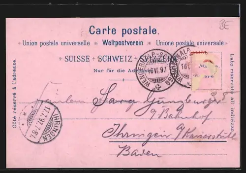 Lithographie Grindelwald, Hotel Alpenruhe mit Eiger, Bahnhof, Eisenbahn