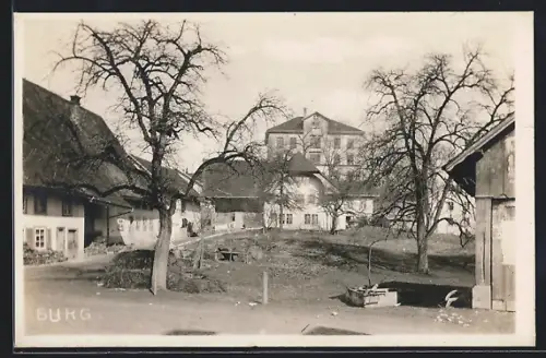AK Burg, Ortspartie mit erhöhtem Gebäude, Panorama