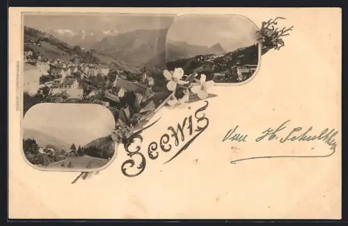 AK Seewis, Verschiedene Ortsansichten aus der Vogelschau