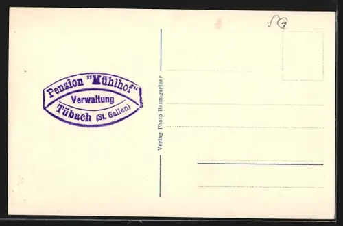 AK Tübach (St. Gallen), Pension Mühlhof mit Anlagen aus der Vogelschau