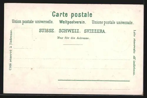 Lithographie St. Gallen, Post, Kathedrale, Totalansicht