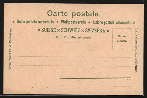 Lithographie St. Gallen, Totalansicht, Monumentalbrunnen, Restaurant Falkenberg