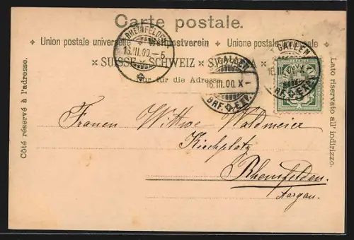 Lithographie St. Gallen, Panorama vom Rosenberg