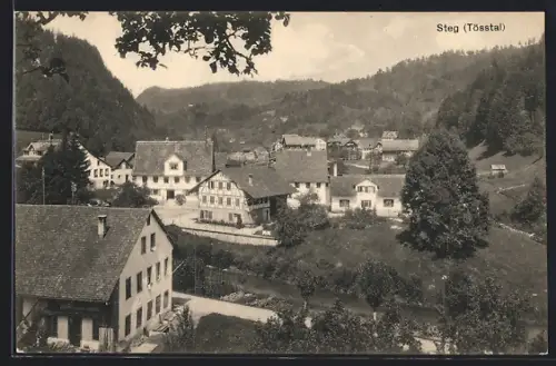 AK Steg /Tösstal, Gesamtansicht