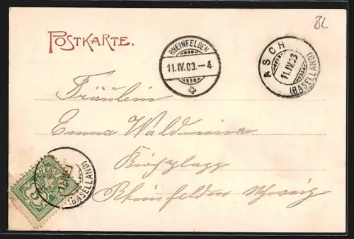 AK Aesch /BL, Totalansicht, Schloss Angenstein mit Birsbrücke