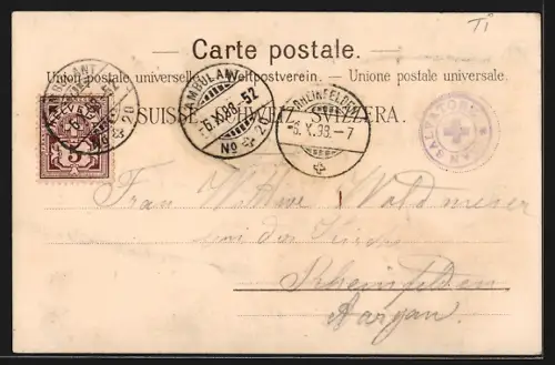 Lithographie Lugano, San Salvatore, Hotel Beau-Rivage, Hotel Salvatore, Gesamtansicht der Stadt