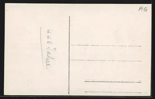 Foto-AK Wohlen /AG, Altersgenossen-Verein 1920
