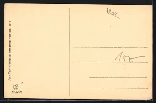 AK Berg im Drautale, Die Pension Schader mit der Villa Maria gegen Thorkofl, Mitterkofl und Spitzkofl